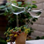 Garden Watering Birds